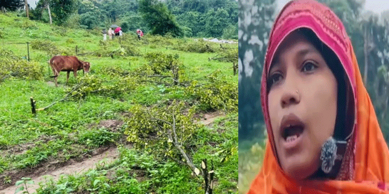 প্রধান উপদেষ্টা পদত্যাগ করবেন না: ফাইজ তাইয়েব আহমেদ