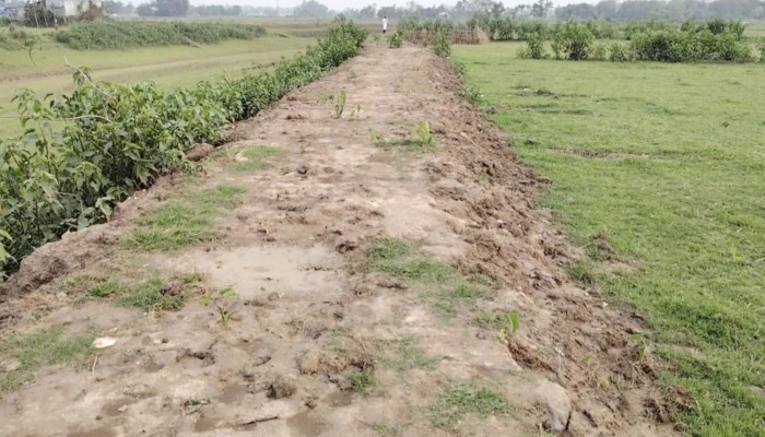 প্রধান উপদেষ্টা পদত্যাগ করবেন না: ফাইজ তাইয়েব আহমেদ