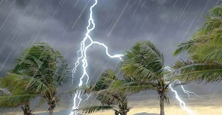 প্রধান উপদেষ্টা পদত্যাগ করবেন না: ফাইজ তাইয়েব আহমেদ