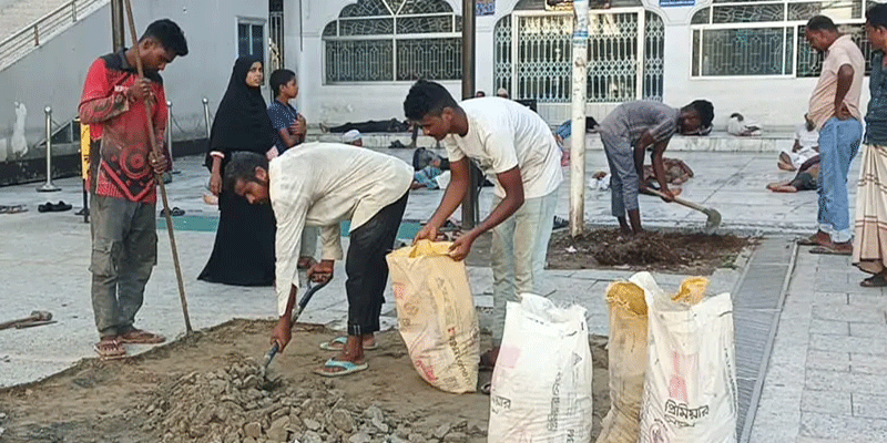 প্রধান উপদেষ্টা পদত্যাগ করবেন না: ফাইজ তাইয়েব আহমেদ
