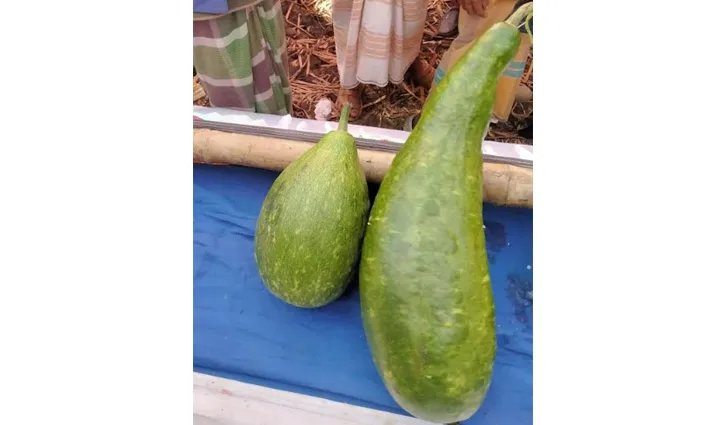 প্রধান উপদেষ্টা পদত্যাগ করবেন না: ফাইজ তাইয়েব আহমেদ