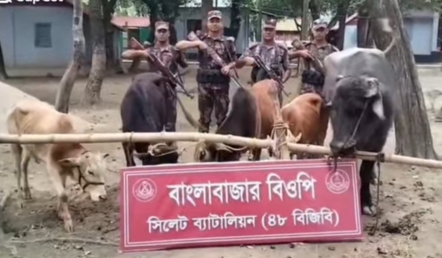 প্রধান উপদেষ্টা পদত্যাগ করবেন না: ফাইজ তাইয়েব আহমেদ