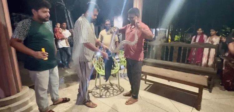 প্রধান উপদেষ্টা পদত্যাগ করবেন না: ফাইজ তাইয়েব আহমেদ