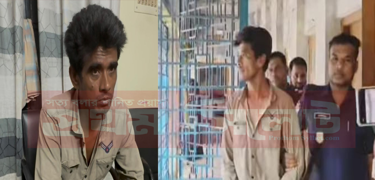 প্রধান উপদেষ্টা পদত্যাগ করবেন না: ফাইজ তাইয়েব আহমেদ