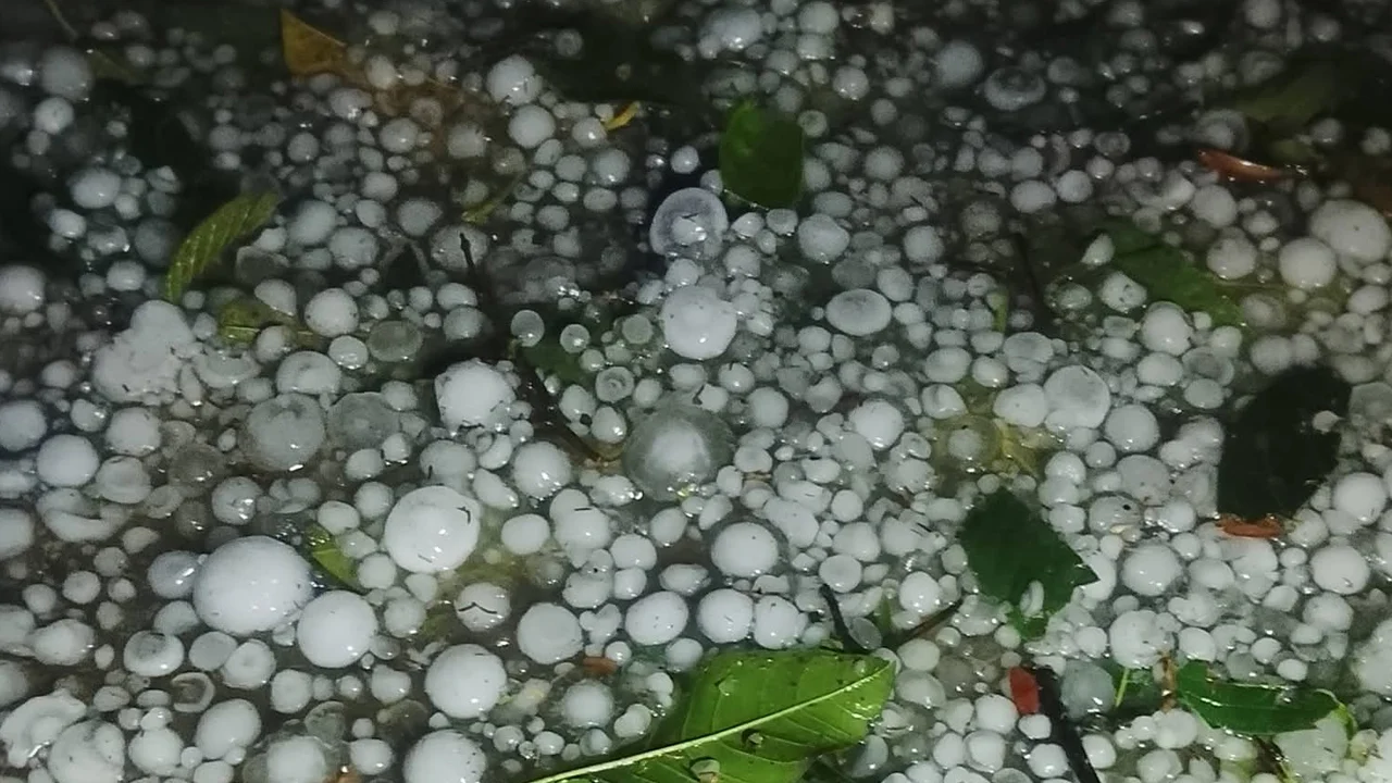 প্রধান উপদেষ্টা পদত্যাগ করবেন না: ফাইজ তাইয়েব আহমেদ