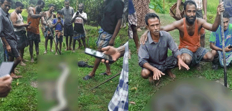 প্রধান উপদেষ্টা পদত্যাগ করবেন না: ফাইজ তাইয়েব আহমেদ