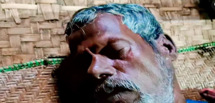 প্রধান উপদেষ্টা পদত্যাগ করবেন না: ফাইজ তাইয়েব আহমেদ