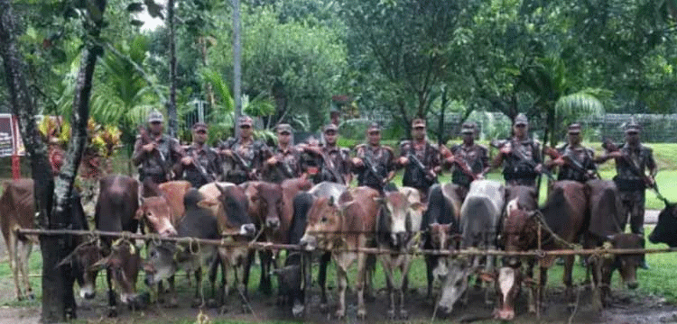 প্রধান উপদেষ্টা পদত্যাগ করবেন না: ফাইজ তাইয়েব আহমেদ