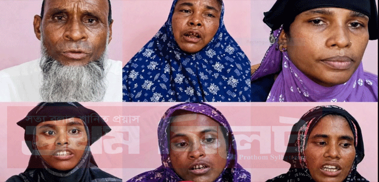 প্রধান উপদেষ্টা পদত্যাগ করবেন না: ফাইজ তাইয়েব আহমেদ