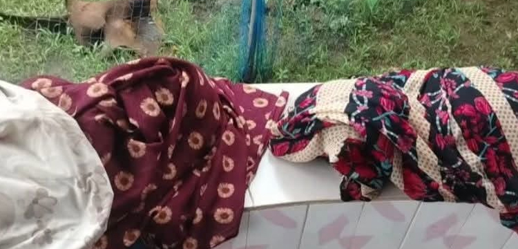 প্রধান উপদেষ্টা পদত্যাগ করবেন না: ফাইজ তাইয়েব আহমেদ
