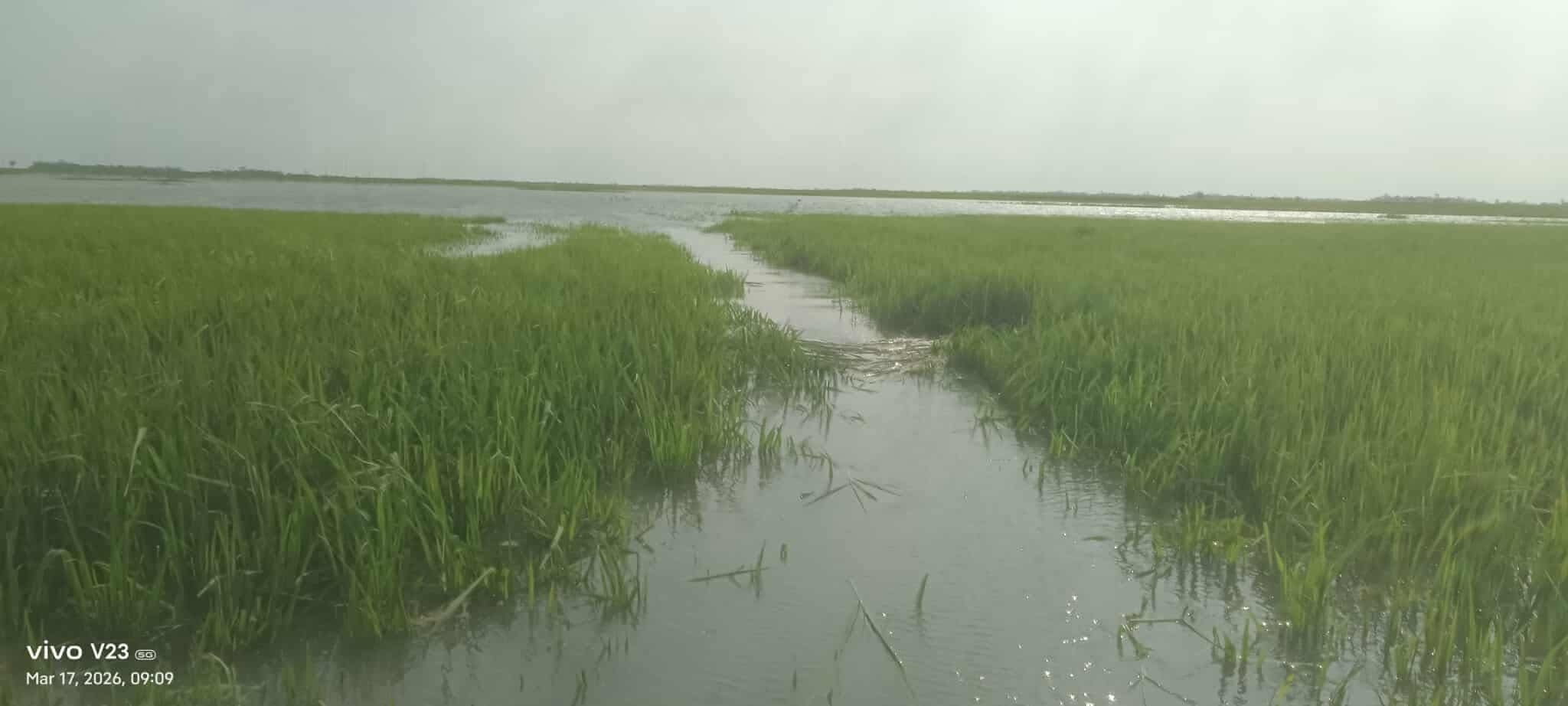 প্রধান উপদেষ্টা পদত্যাগ করবেন না: ফাইজ তাইয়েব আহমেদ