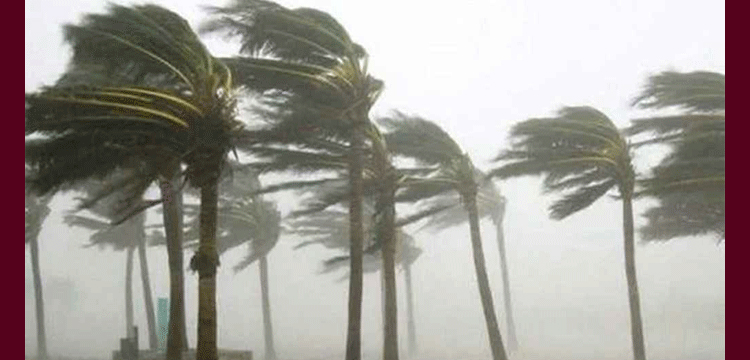 প্রধান উপদেষ্টা পদত্যাগ করবেন না: ফাইজ তাইয়েব আহমেদ