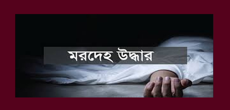 প্রধান উপদেষ্টা পদত্যাগ করবেন না: ফাইজ তাইয়েব আহমেদ