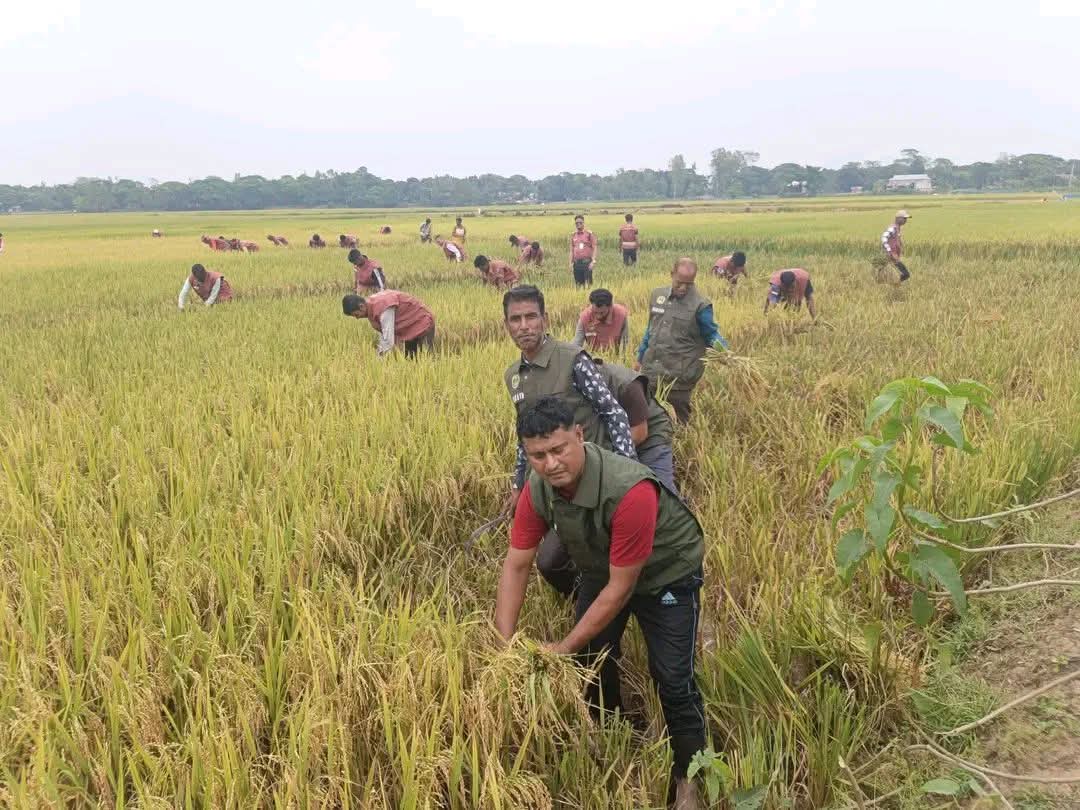 প্রধান উপদেষ্টা পদত্যাগ করবেন না: ফাইজ তাইয়েব আহমেদ