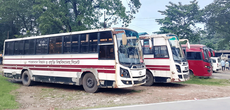 প্রধান উপদেষ্টা পদত্যাগ করবেন না: ফাইজ তাইয়েব আহমেদ