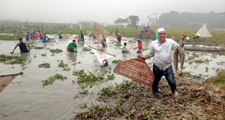 প্রধান উপদেষ্টা পদত্যাগ করবেন না: ফাইজ তাইয়েব আহমেদ