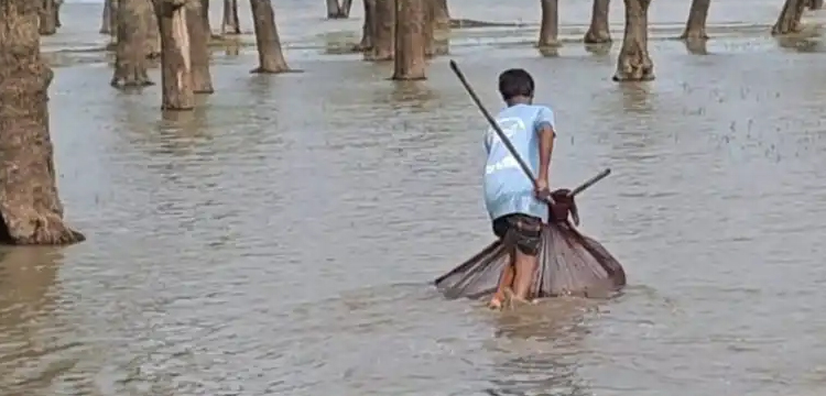 প্রধান উপদেষ্টা পদত্যাগ করবেন না: ফাইজ তাইয়েব আহমেদ