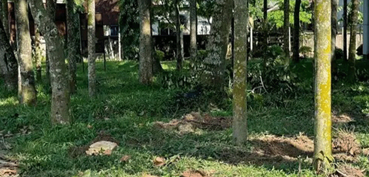 প্রধান উপদেষ্টা পদত্যাগ করবেন না: ফাইজ তাইয়েব আহমেদ