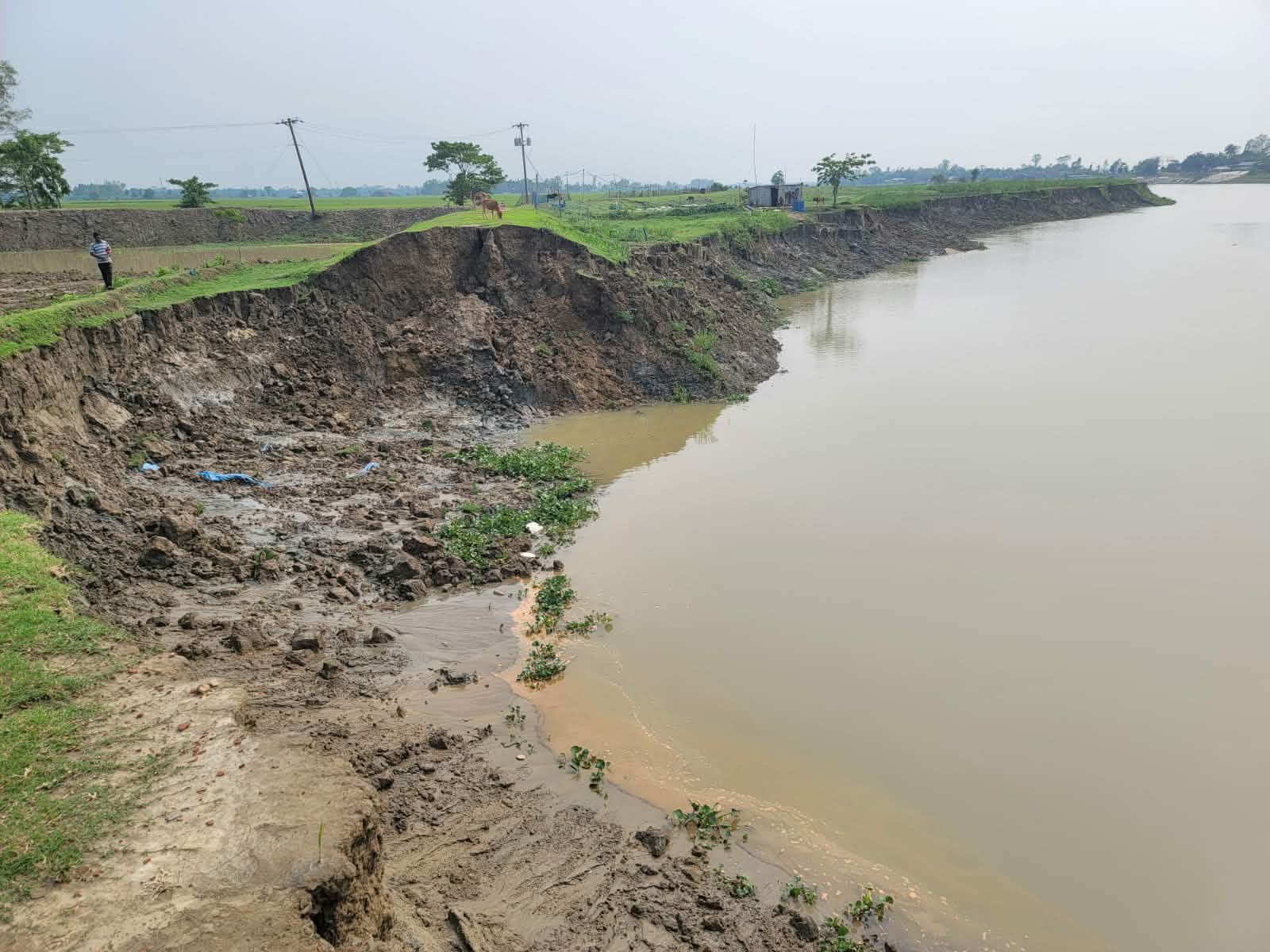 প্রধান উপদেষ্টা পদত্যাগ করবেন না: ফাইজ তাইয়েব আহমেদ
