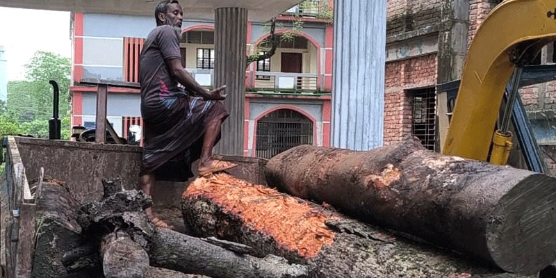 প্রধান উপদেষ্টা পদত্যাগ করবেন না: ফাইজ তাইয়েব আহমেদ