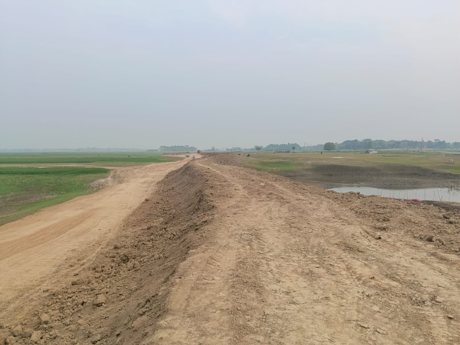 প্রধান উপদেষ্টা পদত্যাগ করবেন না: ফাইজ তাইয়েব আহমেদ