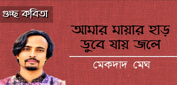 প্রধান উপদেষ্টা পদত্যাগ করবেন না: ফাইজ তাইয়েব আহমেদ