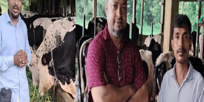 প্রধান উপদেষ্টা পদত্যাগ করবেন না: ফাইজ তাইয়েব আহমেদ