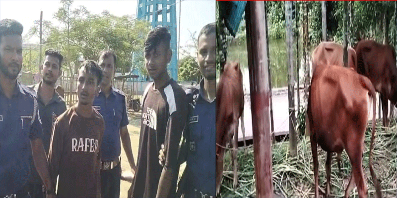 প্রধান উপদেষ্টা পদত্যাগ করবেন না: ফাইজ তাইয়েব আহমেদ