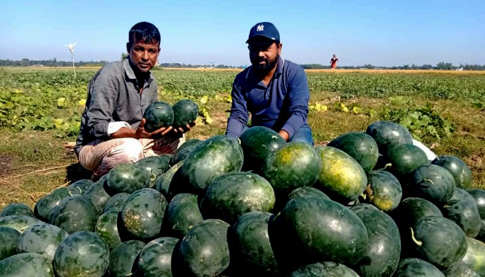 প্রধান উপদেষ্টা পদত্যাগ করবেন না: ফাইজ তাইয়েব আহমেদ