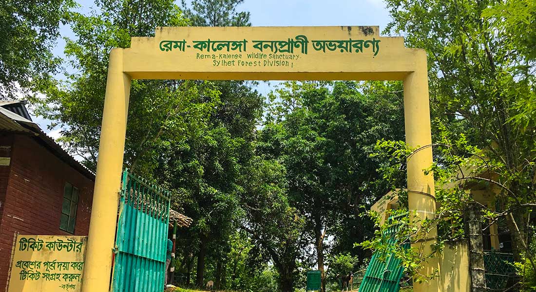 প্রধান উপদেষ্টা পদত্যাগ করবেন না: ফাইজ তাইয়েব আহমেদ