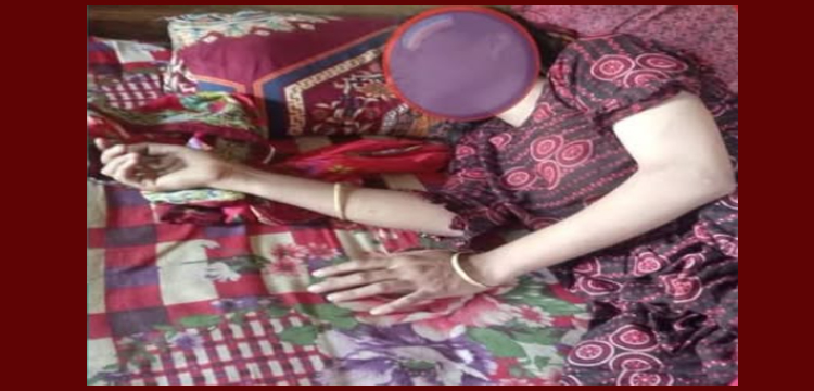 প্রধান উপদেষ্টা পদত্যাগ করবেন না: ফাইজ তাইয়েব আহমেদ