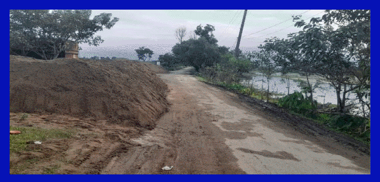 প্রধান উপদেষ্টা পদত্যাগ করবেন না: ফাইজ তাইয়েব আহমেদ