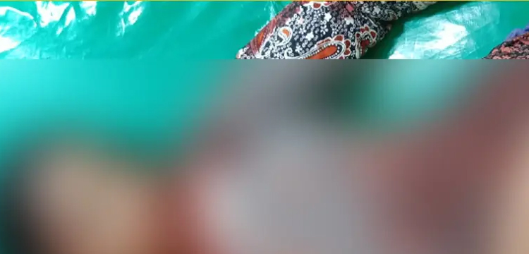 প্রধান উপদেষ্টা পদত্যাগ করবেন না: ফাইজ তাইয়েব আহমেদ
