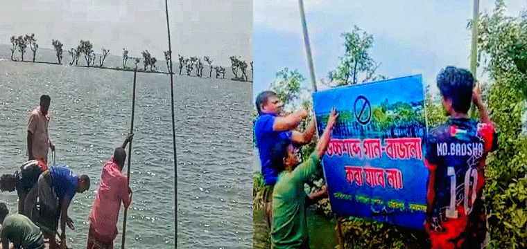 প্রধান উপদেষ্টা পদত্যাগ করবেন না: ফাইজ তাইয়েব আহমেদ