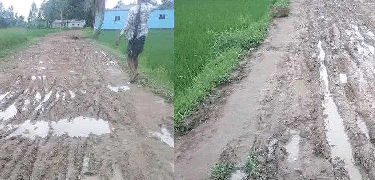 প্রধান উপদেষ্টা পদত্যাগ করবেন না: ফাইজ তাইয়েব আহমেদ