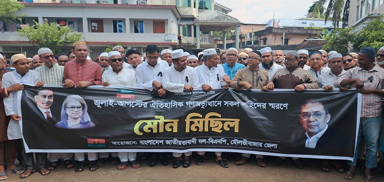 প্রধান উপদেষ্টা পদত্যাগ করবেন না: ফাইজ তাইয়েব আহমেদ