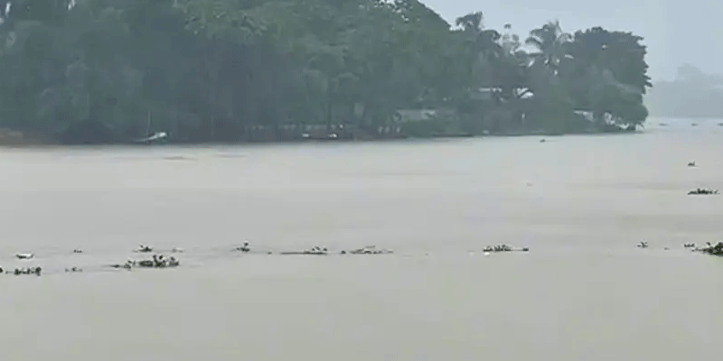 প্রধান উপদেষ্টা পদত্যাগ করবেন না: ফাইজ তাইয়েব আহমেদ