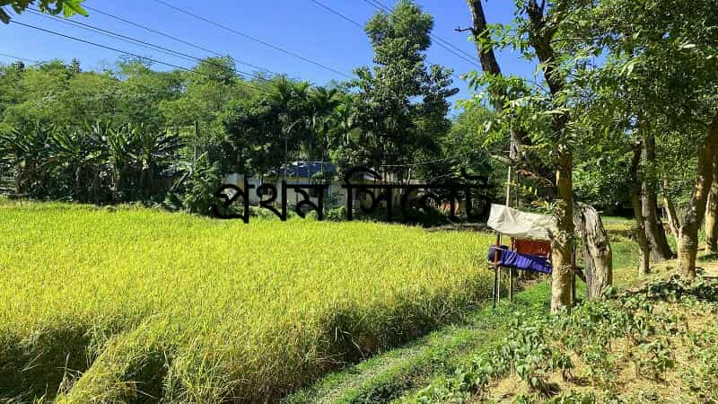 প্রধান উপদেষ্টা পদত্যাগ করবেন না: ফাইজ তাইয়েব আহমেদ