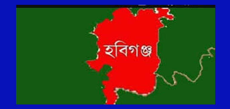 প্রধান উপদেষ্টা পদত্যাগ করবেন না: ফাইজ তাইয়েব আহমেদ