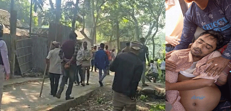 প্রধান উপদেষ্টা পদত্যাগ করবেন না: ফাইজ তাইয়েব আহমেদ