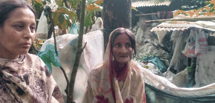 প্রধান উপদেষ্টা পদত্যাগ করবেন না: ফাইজ তাইয়েব আহমেদ