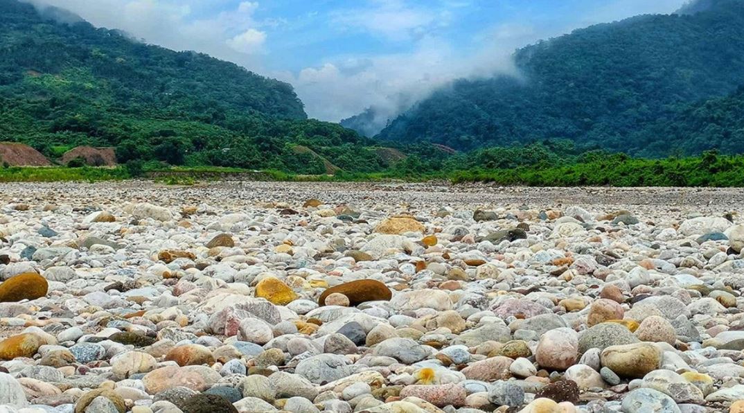 প্রধান উপদেষ্টা পদত্যাগ করবেন না: ফাইজ তাইয়েব আহমেদ