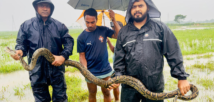 প্রধান উপদেষ্টা পদত্যাগ করবেন না: ফাইজ তাইয়েব আহমেদ