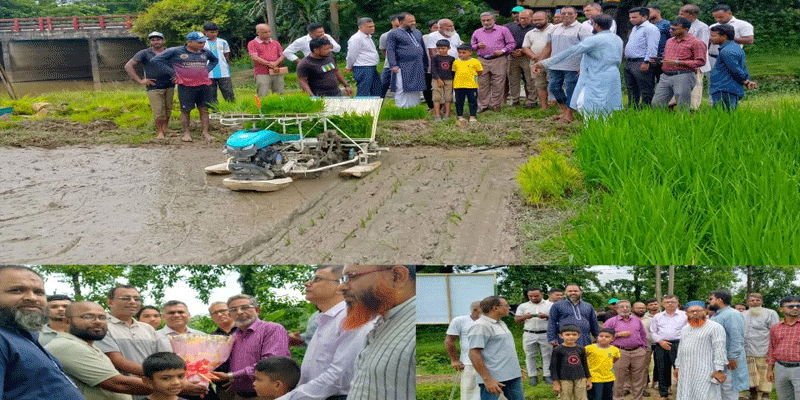 প্রধান উপদেষ্টা পদত্যাগ করবেন না: ফাইজ তাইয়েব আহমেদ