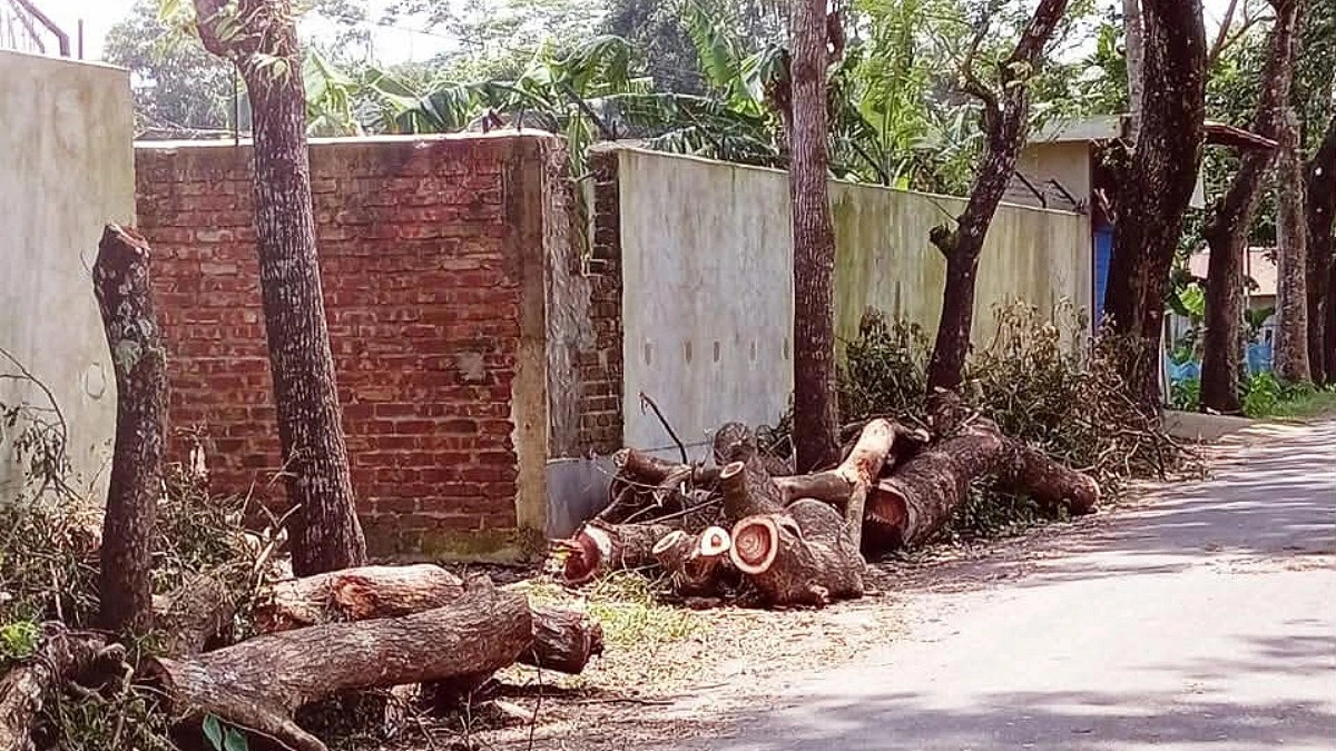 প্রধান উপদেষ্টা পদত্যাগ করবেন না: ফাইজ তাইয়েব আহমেদ