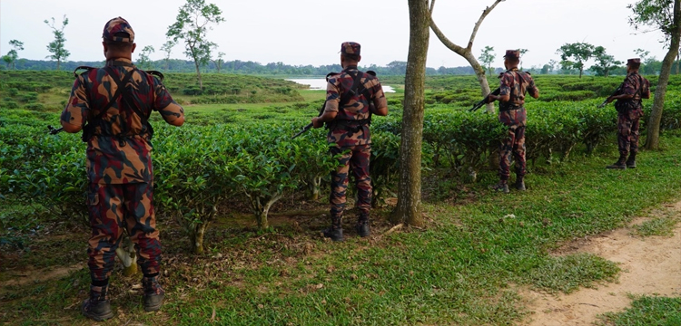 প্রধান উপদেষ্টা পদত্যাগ করবেন না: ফাইজ তাইয়েব আহমেদ