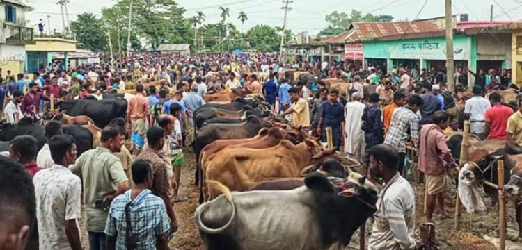 প্রধান উপদেষ্টা পদত্যাগ করবেন না: ফাইজ তাইয়েব আহমেদ