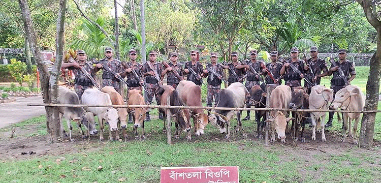 প্রধান উপদেষ্টা পদত্যাগ করবেন না: ফাইজ তাইয়েব আহমেদ