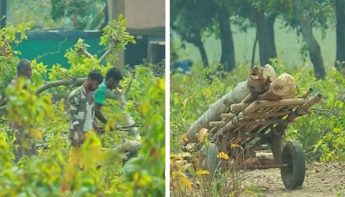 প্রধান উপদেষ্টা পদত্যাগ করবেন না: ফাইজ তাইয়েব আহমেদ