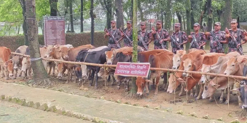 প্রধান উপদেষ্টা পদত্যাগ করবেন না: ফাইজ তাইয়েব আহমেদ